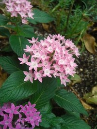 静かです.。.:*・゜・*