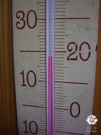 洗濯機に。。。 2010/01/11 01:09:46