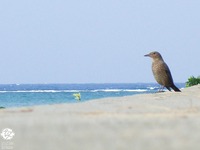 気付けば４ヶ月放置。。。
