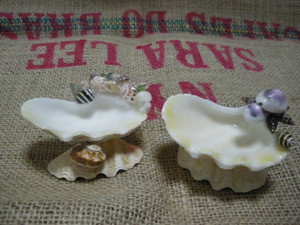 貝で小物を作ってみよう！＆貝細工の販売会