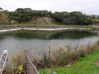 ２０１２春　沖永良部島ケイビングツアー