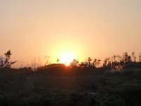 飛び出せ科学くんTV　沖永良部島の銀水洞　動画