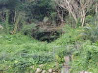 喜美留の暗川