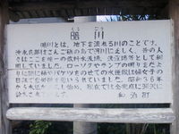 暗川　　沖永良部島の特徴的な川です。