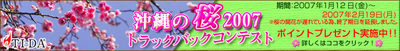 桜咲く