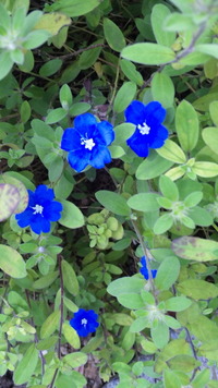 自信 2010/05/31 15:37:25