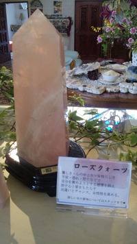 ピンクの優しさ 2010/06/02 12:51:12