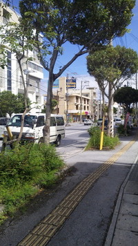 今日もはりきって！ 2010/06/07 10:41:26